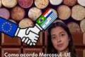 Garrafa de vinho europeu em prateleira no Brasil após acordo Mercosul-UE