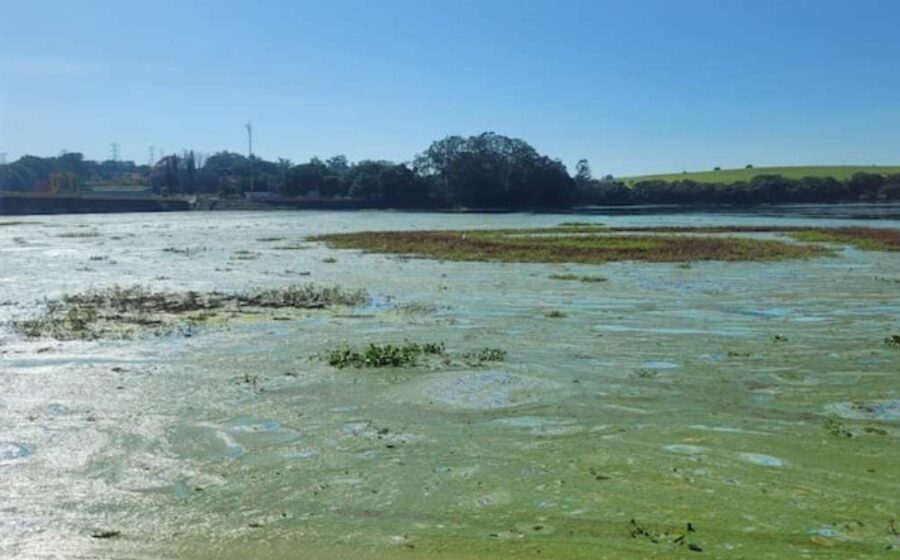 Boias solares no Rio Tietê reduzem algas em 91% e liberam praia para banho