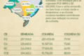 Lavoura de arroz no Sul do Brasil com menor área plantada desde 1982
