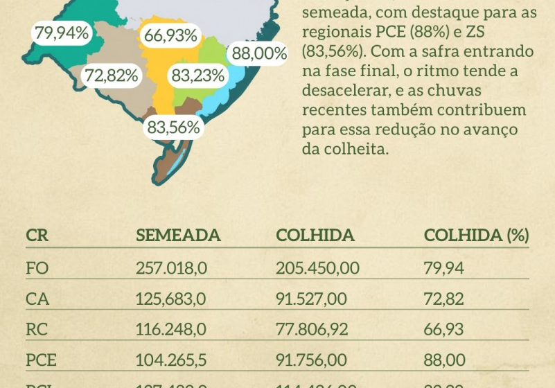 Lavoura de arroz no Sul do Brasil com menor área plantada desde 1982