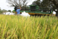 Trator parado em lavoura de arroz no RS por falta de diesel S500, preço acima de R$ 7,70