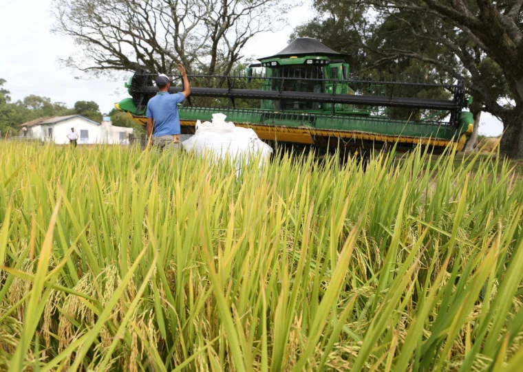 Trator parado em lavoura de arroz no RS por falta de diesel S500, preço acima de R$ 7,70
