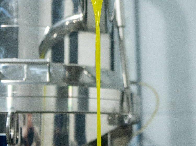 Garrafa de azeite Sabiá premiada no Flos Olei 2027 como melhor sistema de extração