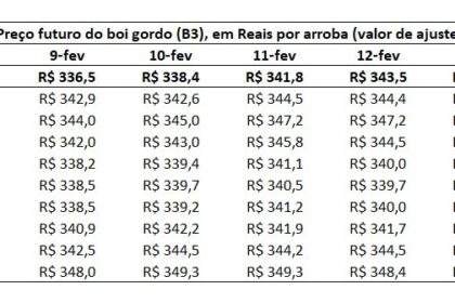 Gráfico mostra alta de 3,5% no preço do boi gordo no mercado físico pressionando contratos futuros na B3
