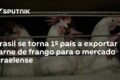 Caminhões refrigerados carregados de frango brasileiro em porto para exportação à União Europeia