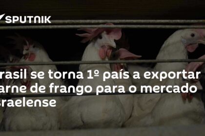Caminhões refrigerados carregados de frango brasileiro em porto para exportação à União Europeia