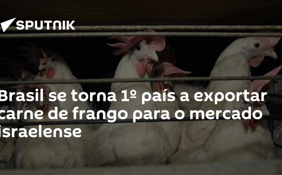 Caminhões refrigerados carregados de frango brasileiro em porto para exportação à União Europeia