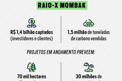 Gabriel Haddad Silva, CEO da Mombak, em retrato profissional com fundo de floresta amazônica