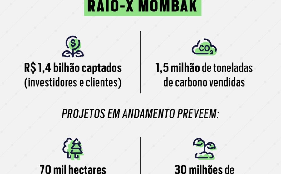 Gabriel Haddad Silva, CEO da Mombak, em retrato profissional com fundo de floresta amazônica