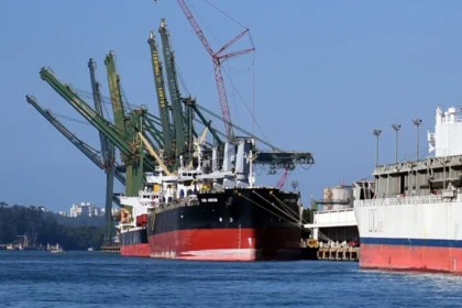 Navios de contêineres MSC e Maersk no Porto de Santos com guindastes operando