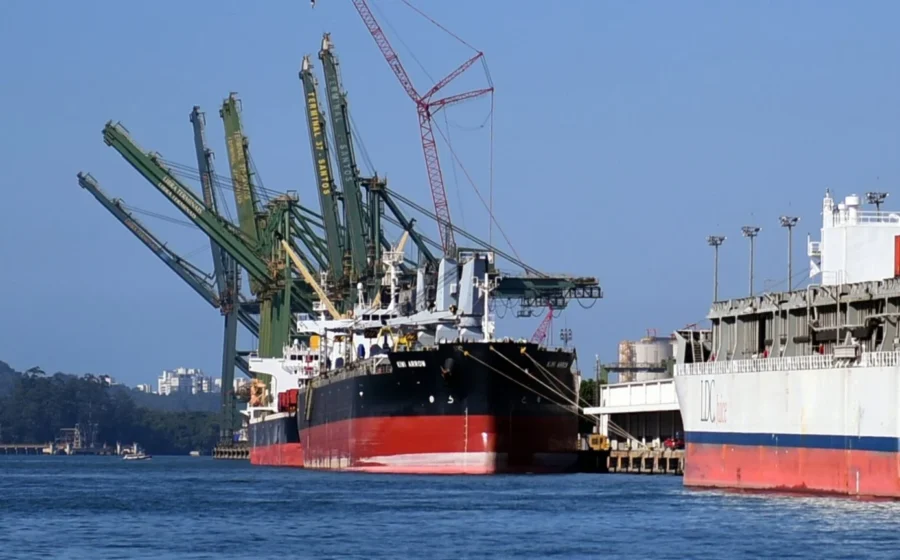 Navios de contêineres MSC e Maersk no Porto de Santos com guindastes operando