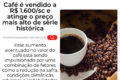 Plantação de café no Brasil com safra recorde de 67,6 milhões de sacas