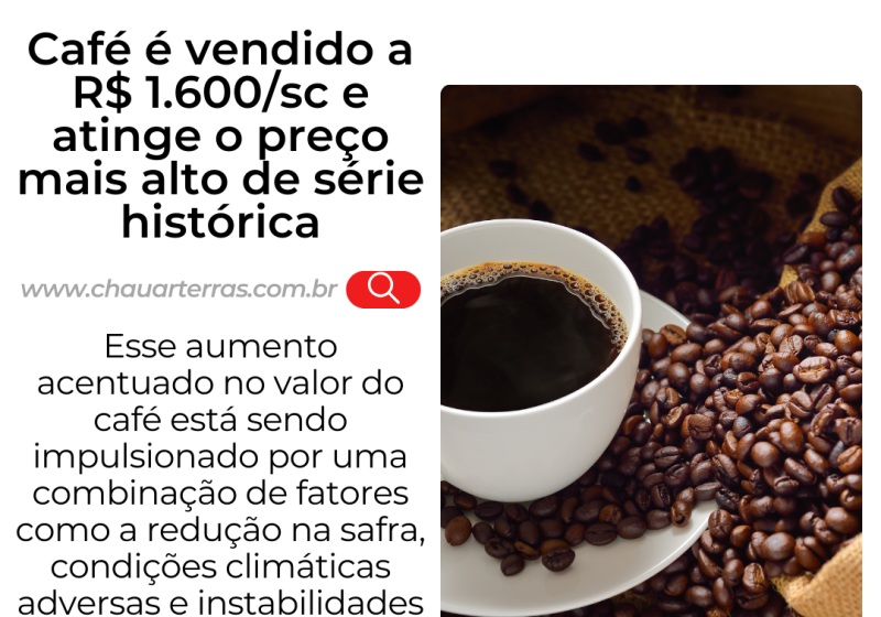 Plantação de café no Brasil com safra recorde de 67,6 milhões de sacas