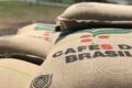 Plantação de café no Brasil com grãos maduros prontos para colheita recorde de 67,6 milhões de sacas