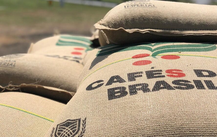 Plantação de café no Brasil com grãos maduros prontos para colheita recorde de 67,6 milhões de sacas