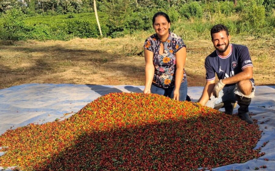 Gráfico de barras mostra alta de 50% no café e 75% no petróleo nas exportações brasileiras de setembro