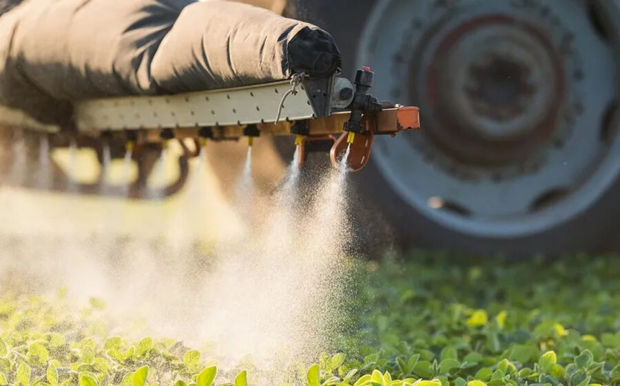 Pesquisadores de Mato Grosso apresentam estudos sobre cafeína, agrotóxicos e Parkinson na NeuroFly 2026 na Alemanha