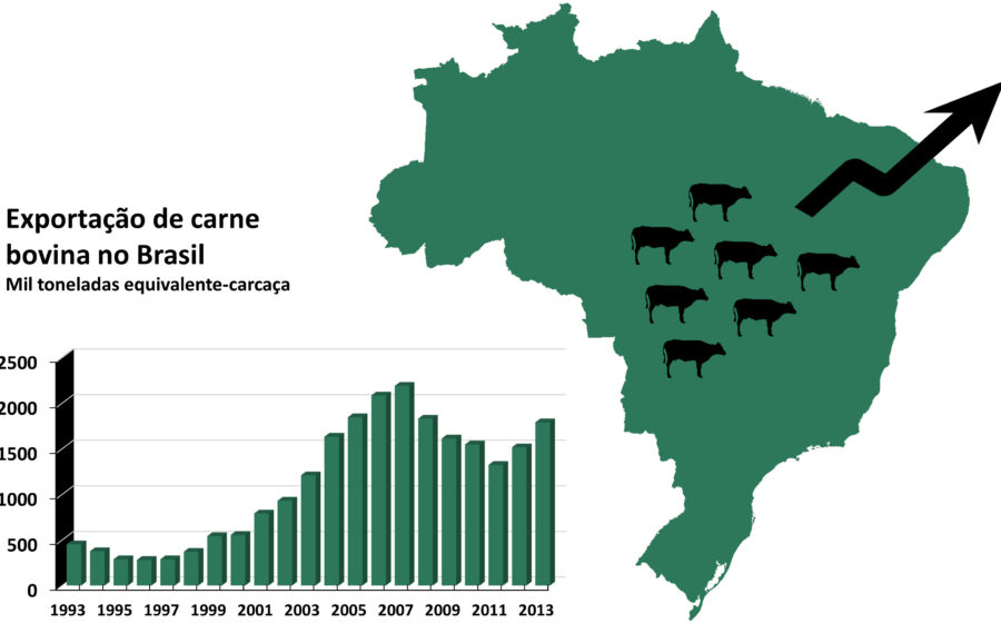 Boi no pasto brasileiro com silhueta da União Europeia ao fundo simbolizando embargo de carne