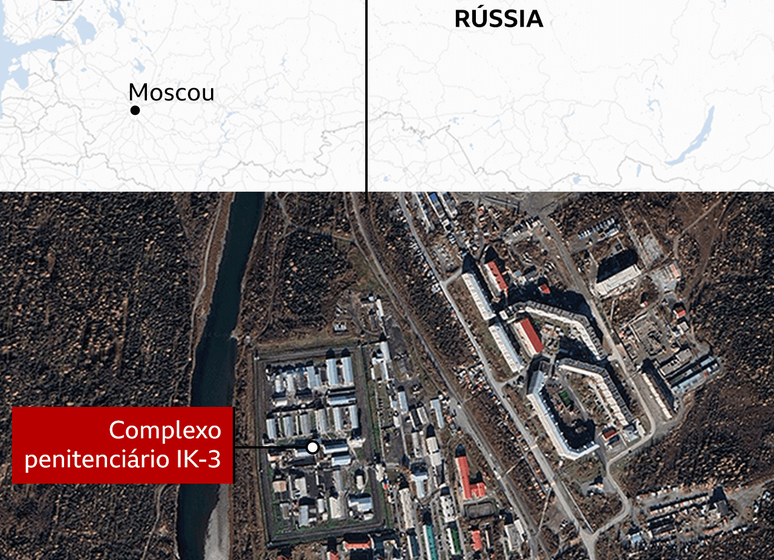 Urso-pardo na floresta siberiana perto de Krasnoyarsk, região com aumento de ataques fatais
