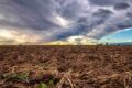 Chuva sobre lavouras do Matopiba com nuvens de tempestade ao fundo, representando alívio e risco climático para safra