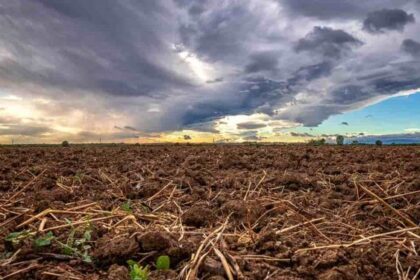 Chuva sobre lavouras do Matopiba com nuvens de tempestade ao fundo, representando alívio e risco climático para safra