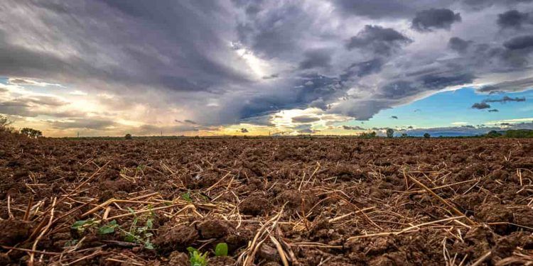 Chuva sobre lavouras do Matopiba com nuvens de tempestade ao fundo, representando alívio e risco climático para safra