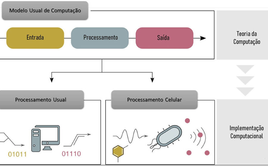 Estrutura de DNA em dupla hélice representando computação molecular sem eletricidade
