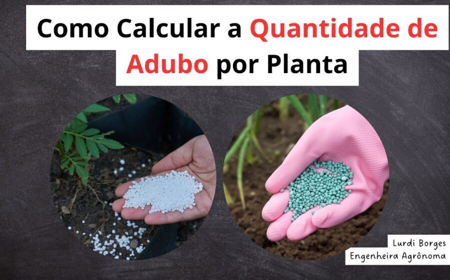 Lavoura de soja no Paraná com sinais de subadubação, fertilizantes e grãos