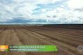 Produtores de tabaco no Sul do Brasil monitoram lavoura sob chuva intensa do El Niño