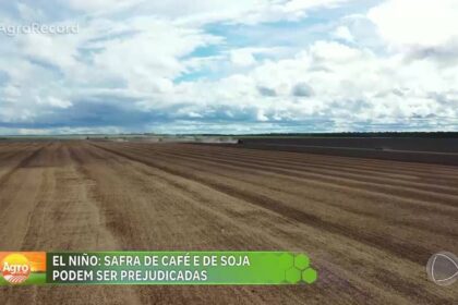 Produtores de tabaco no Sul do Brasil monitoram lavoura sob chuva intensa do El Niño