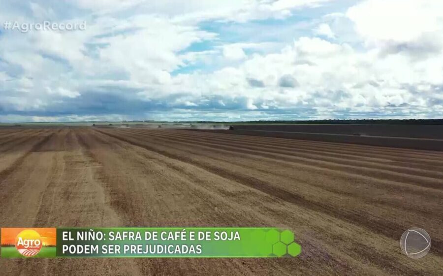Produtores de tabaco no Sul do Brasil monitoram lavoura sob chuva intensa do El Niño