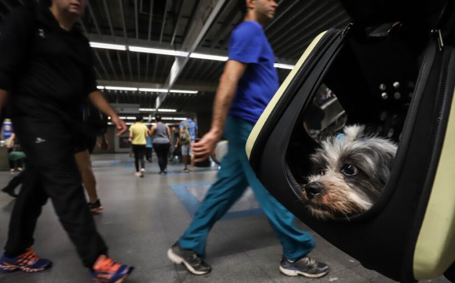 Fachada do Mercado Central de Belo Horizonte com placa informando fim da venda de animais vivos