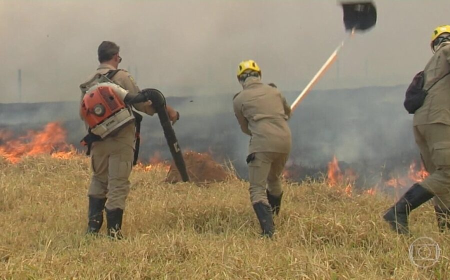 Incêndio destrói 250 hectares de lavoura de milho em Montividiu, Goiás, prejuízo milionário