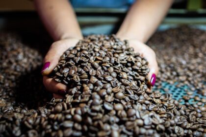 Gráfico de alta do café arábica na bolsa de Nova York com fundos cobrindo posições vendidas