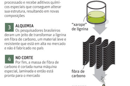 Garoto de 12 anos segura cápsula biodegradável de bagaço de cana para reflorestamento, projeto premiado no Kuwait