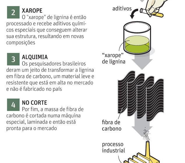 Garoto de 12 anos segura cápsula biodegradável de bagaço de cana para reflorestamento, projeto premiado no Kuwait