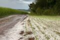 Granizo tamanho de ovos destruindo lavouras e telhados em Cruz Machado Paraná