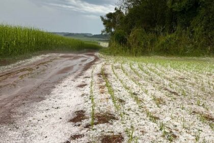 Granizo tamanho de ovos destruindo lavouras e telhados em Cruz Machado Paraná