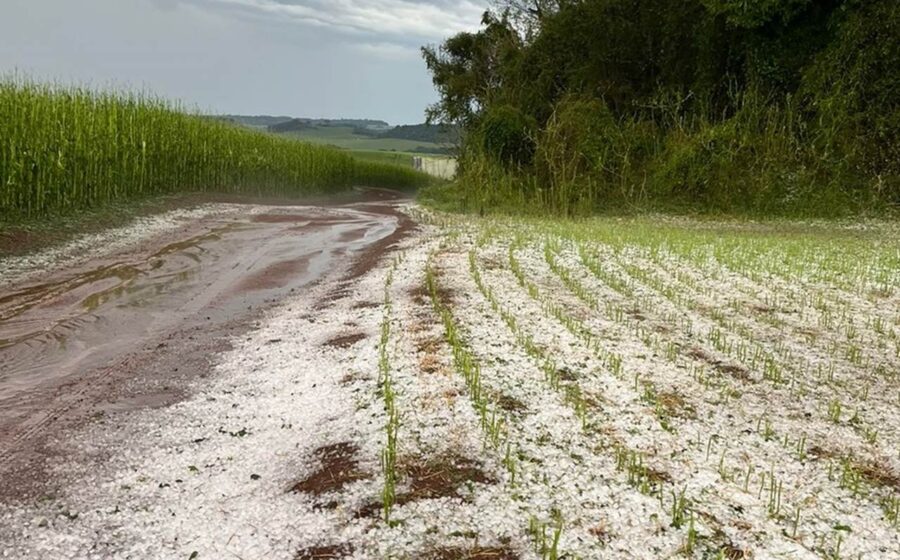 Granizo tamanho de ovos destruindo lavouras e telhados em Cruz Machado Paraná