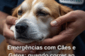 Fachada do Hospital Veterinário Municipal Pró-Pet em Mogi das Cruzes, hospital 24h regularizado no CRMV-SP