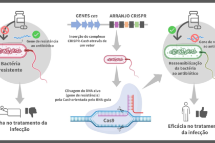 Inteligência artificial descobre novo sistema enzimático ART em laboratório molecular