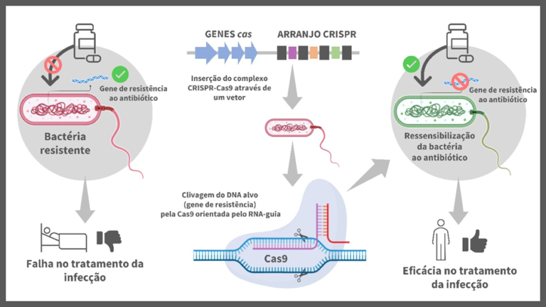 Inteligência artificial descobre novo sistema enzimático ART em laboratório molecular