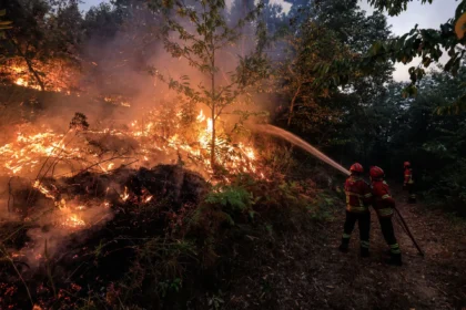 Incêndio na Favela do Brejo em Ribeirão Preto com fumaça densa e barracos destruídos