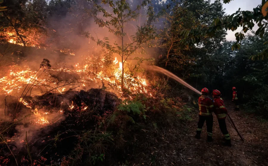 Incêndio na Favela do Brejo em Ribeirão Preto com fumaça densa e barracos destruídos