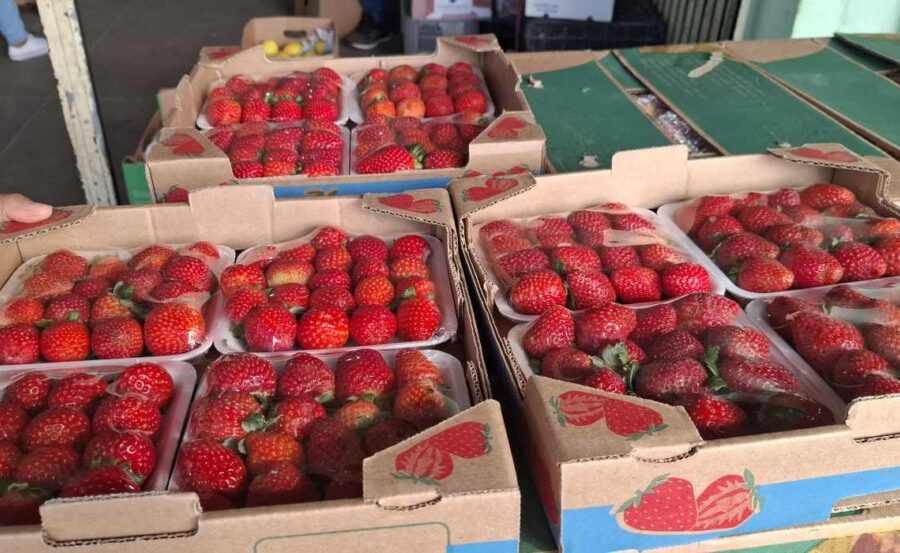Morango cravejado decorado com chocolate e confeitos, símbolo da alta de 177% no preço