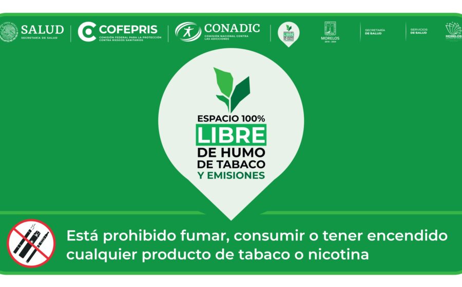 Sachês de nicotina e géis promocionados como nootrópicos para biohacking e produtividade