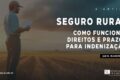 Produtor rural analisa documento da Lei 15.526 sobre seguro agrícola no Brasil
