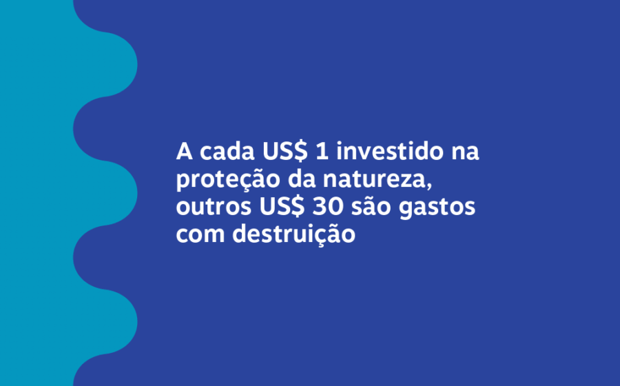 Gráfico mostra proporção 1:30: US$ 1 para proteção da biodiversidade versus US$ 30 financiando destruição ambiental