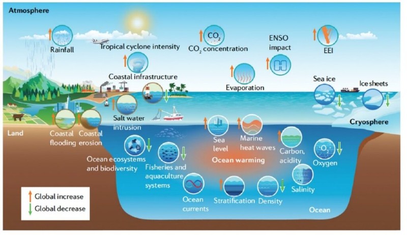 Oceano aquecido com gráficos de alta de preços de peixe e energia instável na costa