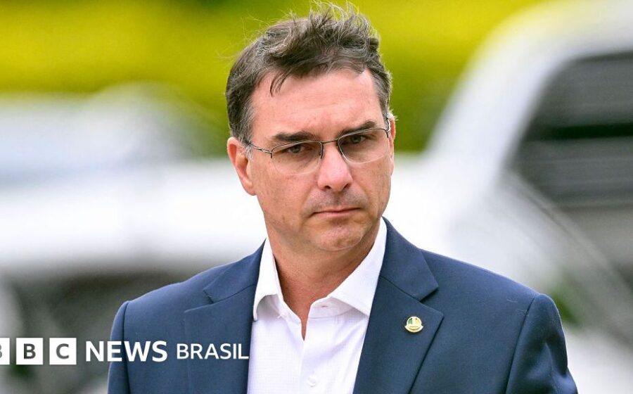 Flávio Bolsonaro e Daniella Marques discutem plano econômico inspirado em Milei para 2026